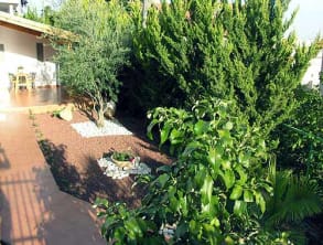 צל%20ברושים%20,%20חצור%20הגלילית